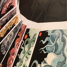 Load image into Gallery viewer, Medusa serie -complete collection-